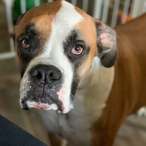 Meet your Posher, Justine